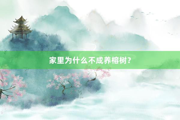 家里为什么不成养榕树？
