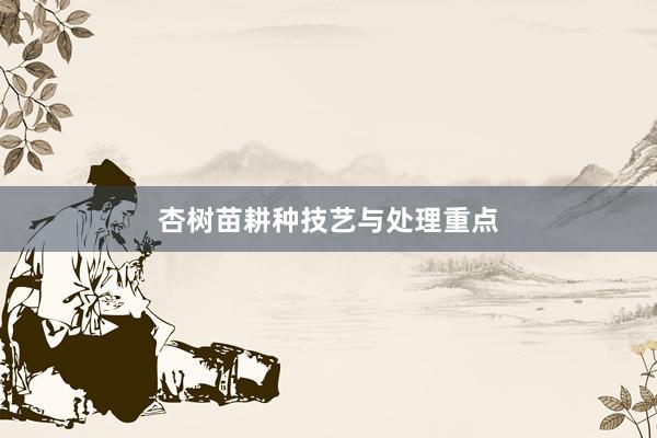 杏树苗耕种技艺与处理重点