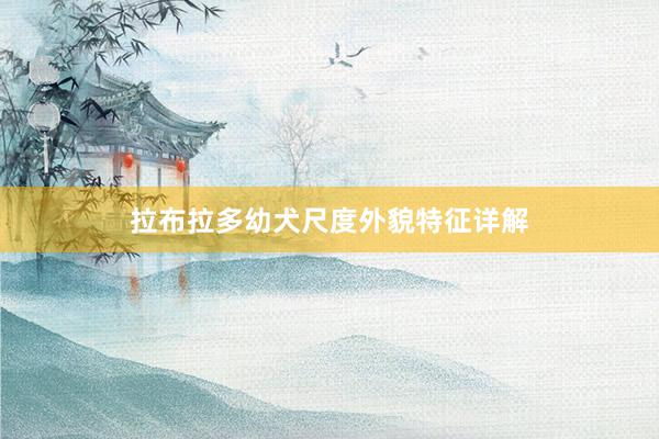 拉布拉多幼犬尺度外貌特征详解