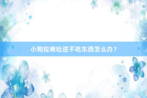 小狗拉稀吐逆不吃东西怎么办？